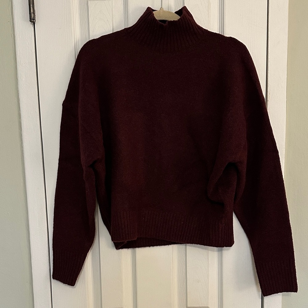 Zara Deep Burgundy Turtleneck Sweater
